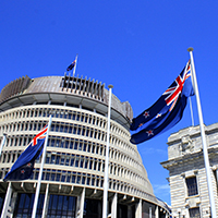 Beehive with flag14