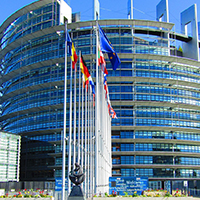 European parliament